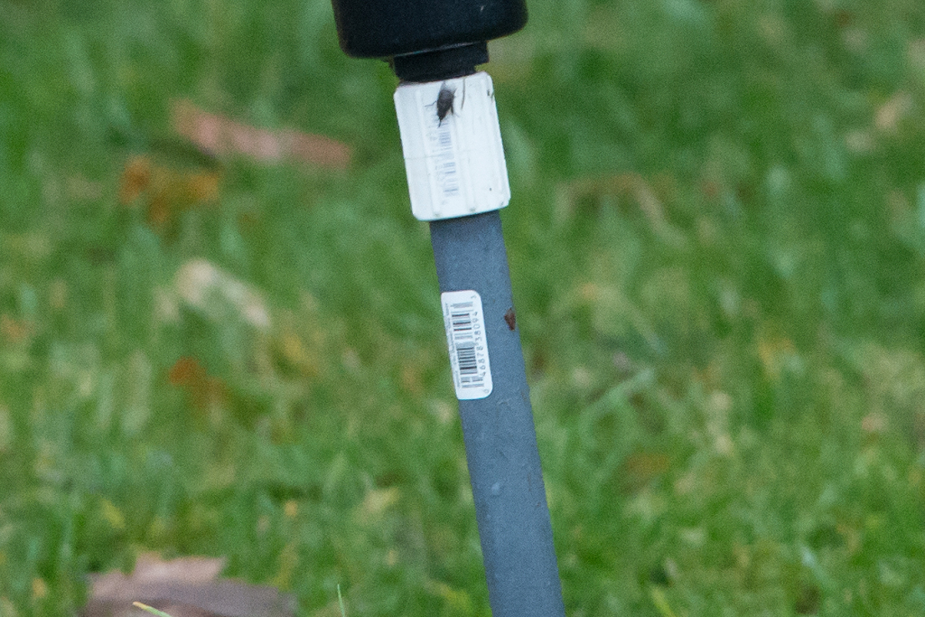 a black and white object on a pole