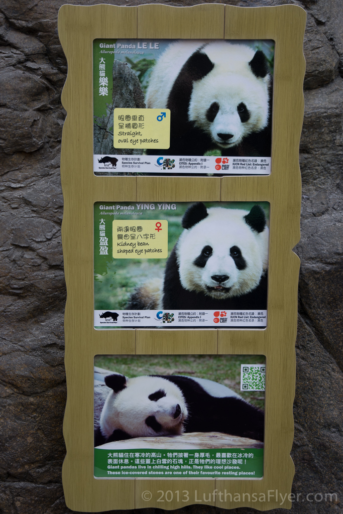 a sign with pictures of pandas