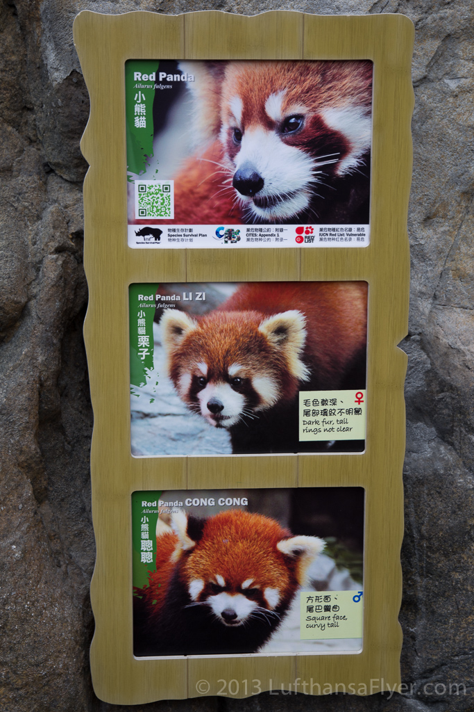 a sign with pictures of red pandas