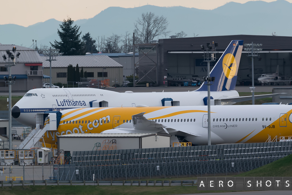 Here is a look at the Retro Livery.  She's parked over a mile away and unfortunately a SCOOT 787 is in the way......