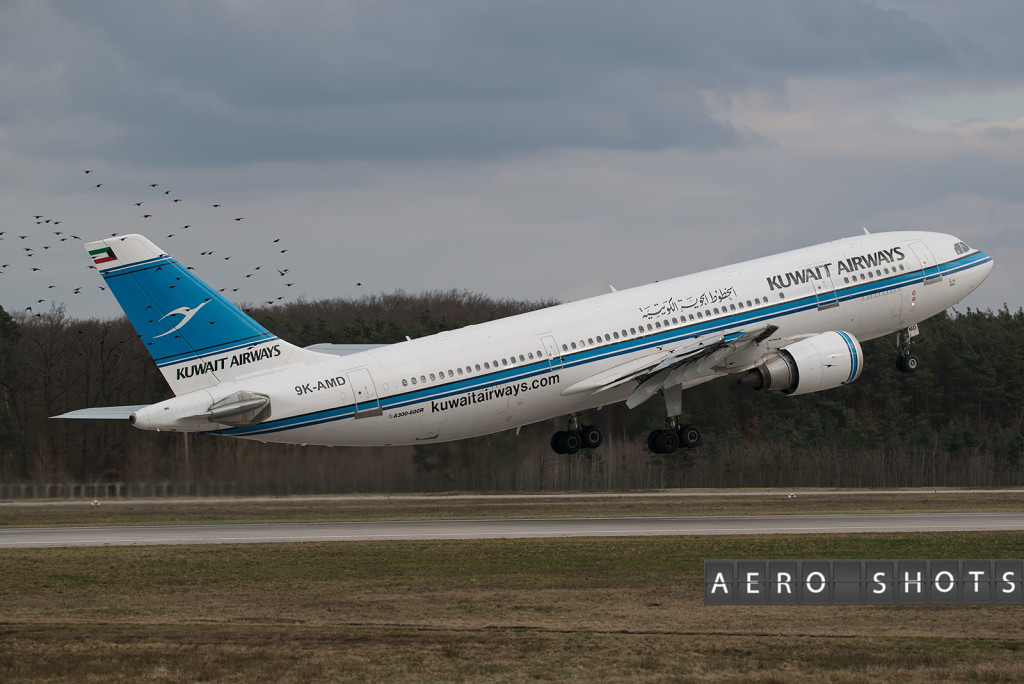 Birds compete for tail space on this Kuwaiti A300