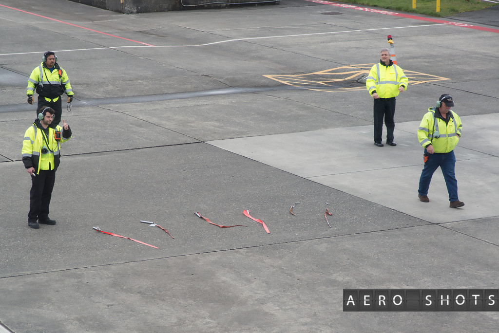 D-ABYT's personal set of "Remove Before Flight" Flags.