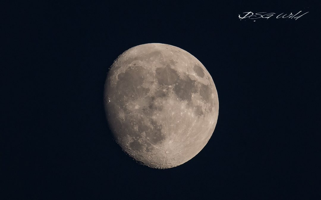 Super Moon Plane Spotting….from GRR