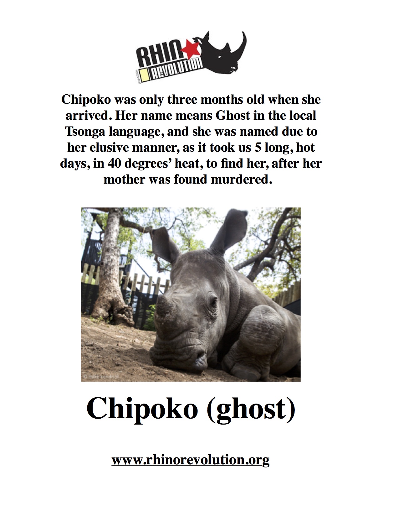 Chipoko (ghost)