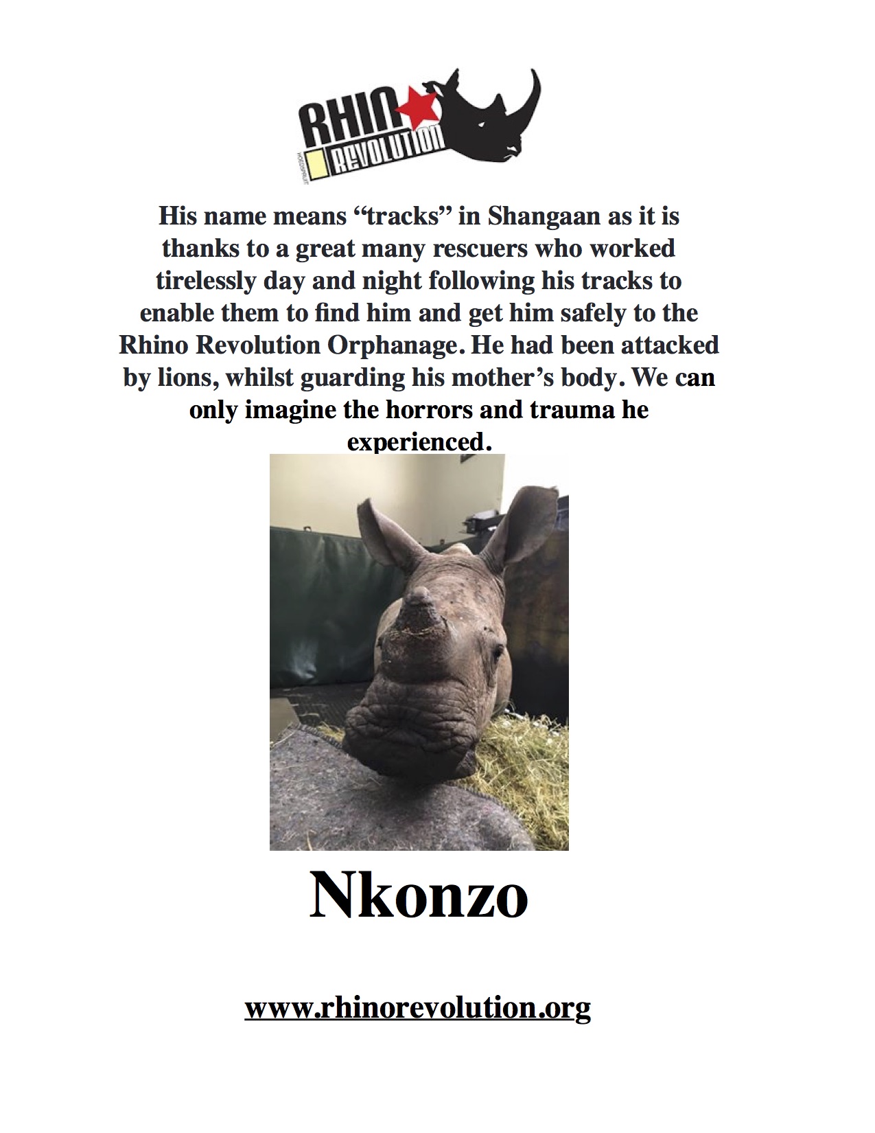 Nkonzo